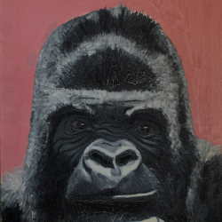 Gorilla Nr. 1 Stephan Sprehe 2024. Öl auf Leinwand. Gr. 60cm x 80cm.